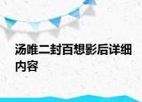 湯唯二封百想影后詳細(xì)內(nèi)容