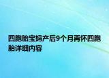 四胞胎寶媽產(chǎn)后9個(gè)月再懷四胞胎詳細(xì)內(nèi)容