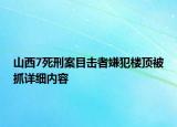 山西7死刑案目擊者嫌犯樓頂被抓詳細內(nèi)容