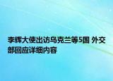 李輝大使出訪烏克蘭等5國(guó) 外交部回應(yīng)詳細(xì)內(nèi)容