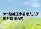 大S起訴汪小菲曝光孩子照片詳細(xì)內(nèi)容