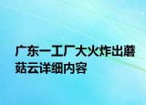 廣東一工廠大火炸出蘑菇云詳細(xì)內(nèi)容