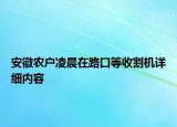 安徽農(nóng)戶凌晨在路口等收割機詳細內容