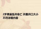 2歲男童墜井身亡 井蓋井口大小不符詳細(xì)內(nèi)容