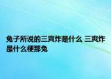 兔子所說的三爽炸是什么 三爽炸是什么梗那兔