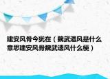 建安風(fēng)骨今猶在（魏武遺風(fēng)是什么意思建安風(fēng)骨魏武遺風(fēng)什么梗）