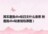 其實(shí)是我dio噠日文什么意思 附是我dio噠表情包原圖）
