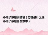 小黑子蘇珊表情包（蘇珊是什么梗小黑子蘇珊什么意思）