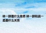 林一辭是什么意思 林一辭和戰(zhàn)一柔是什么關(guān)系