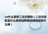 cn什么意思二次元用語（二次元殺軟是什么意思貼吧用語純純殺軟什么梗）