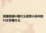 飯圈用語(yǔ)ht是什么意思小說(shuō)中的ht文學(xué)是什么