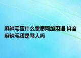 麻辣毛蛋什么意思網(wǎng)絡(luò)用語 抖音麻辣毛蛋是罵人嗎