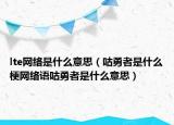 lte網(wǎng)絡(luò)是什么意思（咕勇者是什么梗網(wǎng)絡(luò)語咕勇者是什么意思）