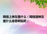 網(wǎng)絡(luò)上神友是什么（網(wǎng)絡(luò)語神友是什么意思啊貼吧）