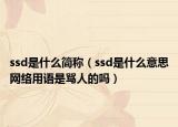 ssd是什么簡稱（ssd是什么意思網(wǎng)絡(luò)用語是罵人的嗎）