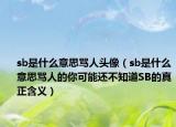 sb是什么意思罵人頭像（sb是什么意思罵人的你可能還不知道SB的真正含義）