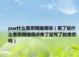pua什么意思網(wǎng)絡(luò)用語(yǔ)（寄了是什么意思網(wǎng)絡(luò)用語(yǔ)寄了是死了的意思嗎）
