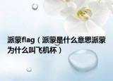 派蒙flag（派蒙是什么意思派蒙為什么叫飛機(jī)杯）