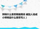 郭楠什么意思網(wǎng)絡(luò)用語 被別人說成小郭楠是什么意思罵人）