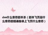 dm什么意思劇本殺（劇本飛頁(yè)是什么意思劇組通告單上飛頁(yè)什么意思）