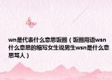 wn是代表什么意思飯圈（飯圈用語wsn什么意思的縮寫女生說男生wsn是什么意思罵人）