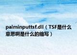 palminputtsf.dll（TSF是什么意思啊是什么的縮寫）