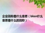 企業(yè)簡(jiǎn)稱是什么意思（bksn什么意思是什么的簡(jiǎn)稱）