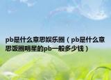 pb是什么意思娛樂圈（pb是什么意思飯圈明星的pb一般多少錢）