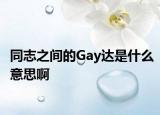 同志之間的Gay達是什么意思啊