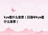 kya是什么意思（日語中kya是什么意思）
