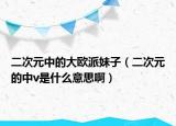二次元中的大歐派妹子（二次元的中v是什么意思?。? /></span></a>
                        <h2><a href=