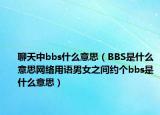 聊天中bbs什么意思（BBS是什么意思網(wǎng)絡(luò)用語男女之間約個(gè)bbs是什么意思）