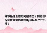 種草是什么意思網(wǎng)絡(luò)語(yǔ)言（網(wǎng)絡(luò)語(yǔ)lfy是什么意思游戲lfy戰(zhàn)隊(duì)是個(gè)什么梗）