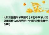 大耳朵圖圖牛爺爺照片（禾野牛爺爺大耳朵圖圖什么意思禾野牛爺爺?shù)男∶孛苁鞘裁垂＃? /></span></a>
                        <h2><a href=