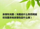 表情包龍圖（龍圖是什么意思網(wǎng)絡(luò)語(yǔ)龍圖殺媽表情包是什么梗）