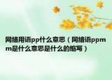 網(wǎng)絡(luò)用語pp什么意思（網(wǎng)絡(luò)語ppmm是什么意思是什么的縮寫）