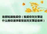 誰都知道我愛你（我愛你劉文慧是什么梗動(dòng)漫彈幕里面劉文慧是誰?。? /></span></a>
                        <h2><a href=