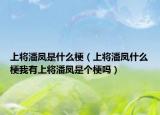 上將潘鳳是什么梗（上將潘鳳什么梗我有上將潘鳳是個梗嗎）