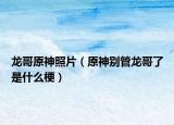 龍哥原神照片（原神別管龍哥了是什么梗）