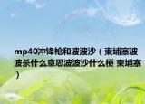 mp40沖鋒槍和波波沙（柬埔寨波波殺什么意思波波沙什么梗 柬埔寨）