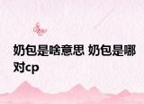 奶包是啥意思 奶包是哪對(duì)cp