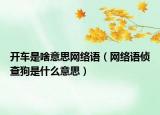 開車是啥意思網(wǎng)絡(luò)語（網(wǎng)絡(luò)語偵查狗是什么意思）
