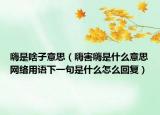 嗨是啥子意思（嗨害嗨是什么意思網(wǎng)絡(luò)用語(yǔ)下一句是什么怎么回復(fù)）