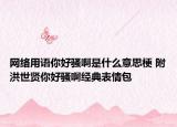 網(wǎng)絡(luò)用語你好騷啊是什么意思梗 附洪世賢你好騷啊經(jīng)典表情包