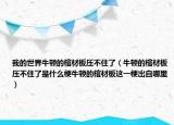 我的世界牛頓的棺材板壓不住了（牛頓的棺材板壓不住了是什么梗牛頓的棺材板這一梗出自哪里）