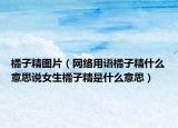橘子精圖片（網(wǎng)絡(luò)用語橘子精什么意思說女生橘子精是什么意思）