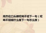 周杰倫口頭禪哎呦不錯下一句（哎呦不錯哦什么梗下一句怎么接）