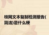 枝網(wǎng)文本復(fù)制檢測報告(簡潔)是什么梗