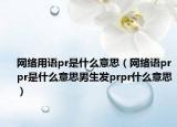 網(wǎng)絡(luò)用語pr是什么意思（網(wǎng)絡(luò)語prpr是什么意思男生發(fā)prpr什么意思）