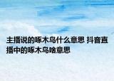 主播說的啄木鳥什么意思 抖音直播中的啄木鳥啥意思
